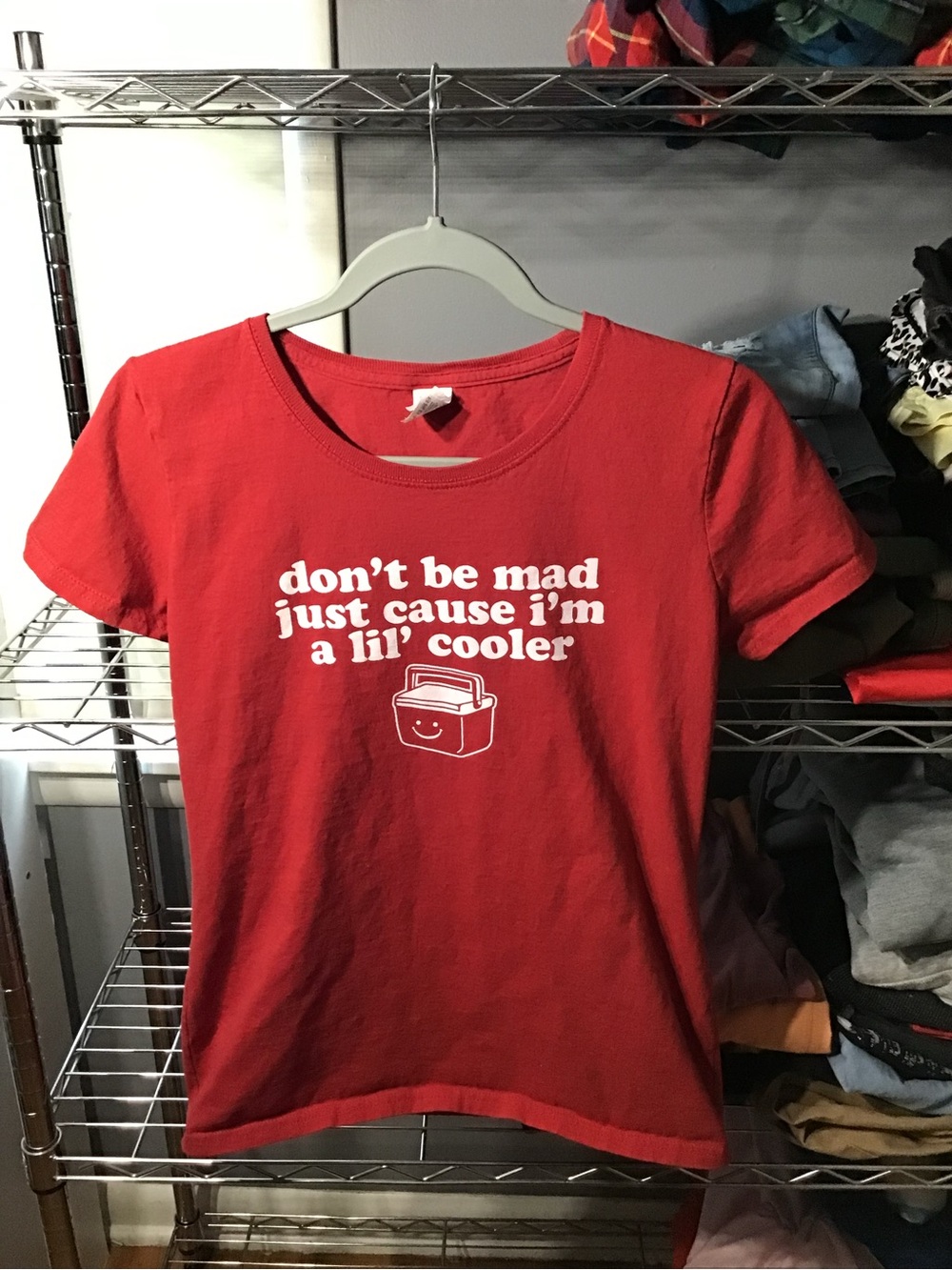 Fruit of the Loom Red Short Sleeve Graphic Tee